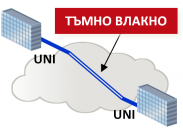 Тъмно влакно